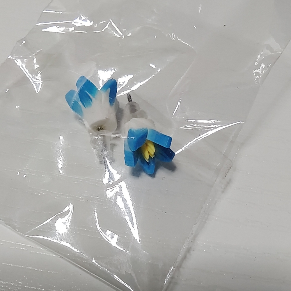 Blue and White Flower Earrings